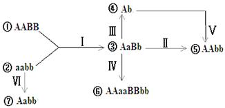 ߿Դ(ks5u.com),й****ĸ߿վ,ߵĸ߿****